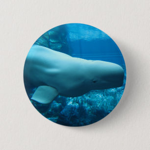 Badge Rond 5 Cm Baleine espiègle mignonne de beluga dans