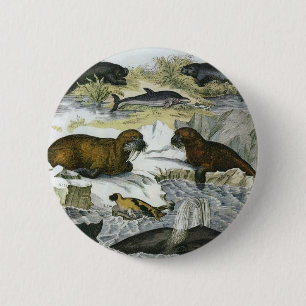 Badge Rond 5 Cm Baleines, phoques et morses vintage, animaux marin