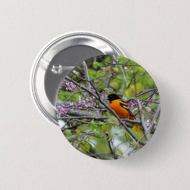 Badge Rond 5 Cm Baltimore Oriole (Devant & derrière)