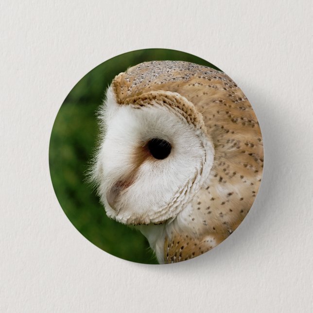 BADGE ROND 5 CM BARN OWL (Devant)