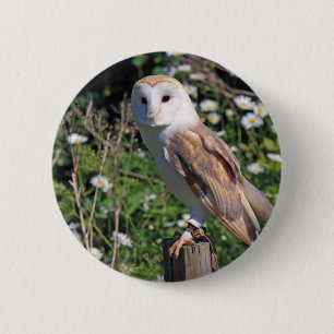 Badge Rond 5 Cm Barn Owl