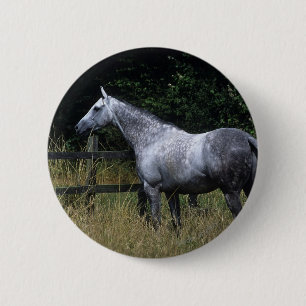 Badge Rond 5 Cm Barrière se tenante prêt de cheval de pur sang