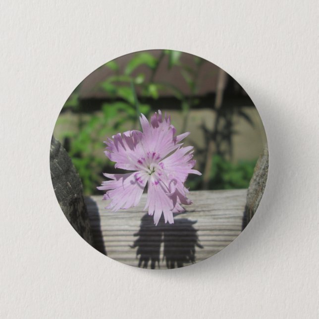 Badge Rond 5 Cm Bath Dianthus (Devant)