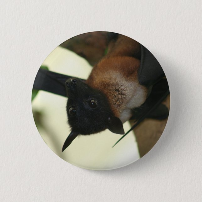Badge Rond 5 Cm Batte de fruit indienne géante (Devant)
