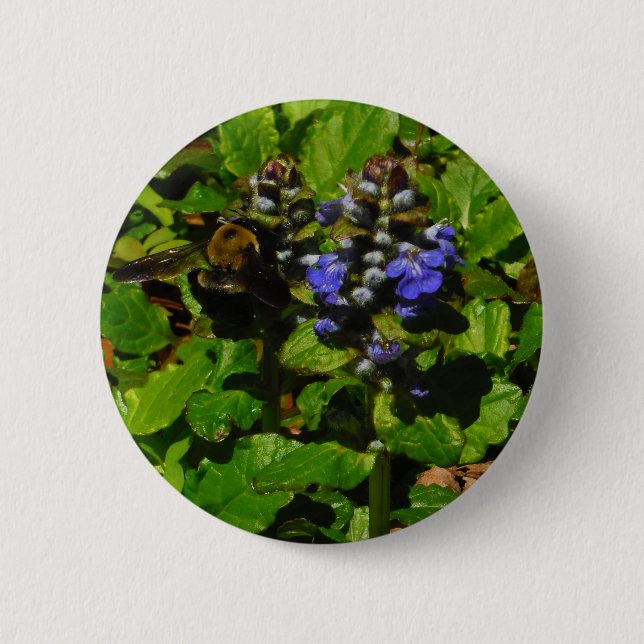 Badge Rond 5 Cm Baume d'abeille pourpre et bourdon (Devant)
