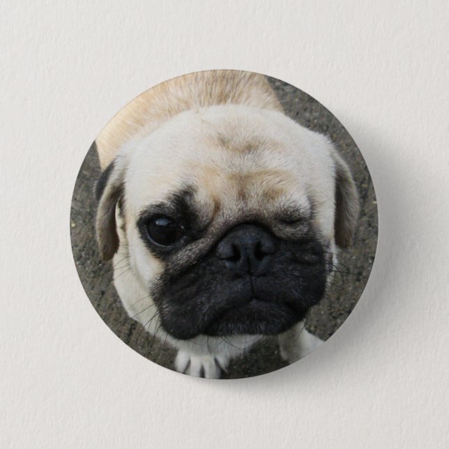 Badge Rond 5 Cm Bauwk ... Chien carlin ... Thaïlande (Devant)
