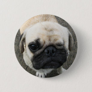 Badge Rond 5 Cm Bauwk ... Chien carlin ... Thaïlande