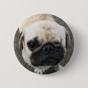Badge Rond 5 Cm Bauwk ... Chien Pug ... Thaïlande