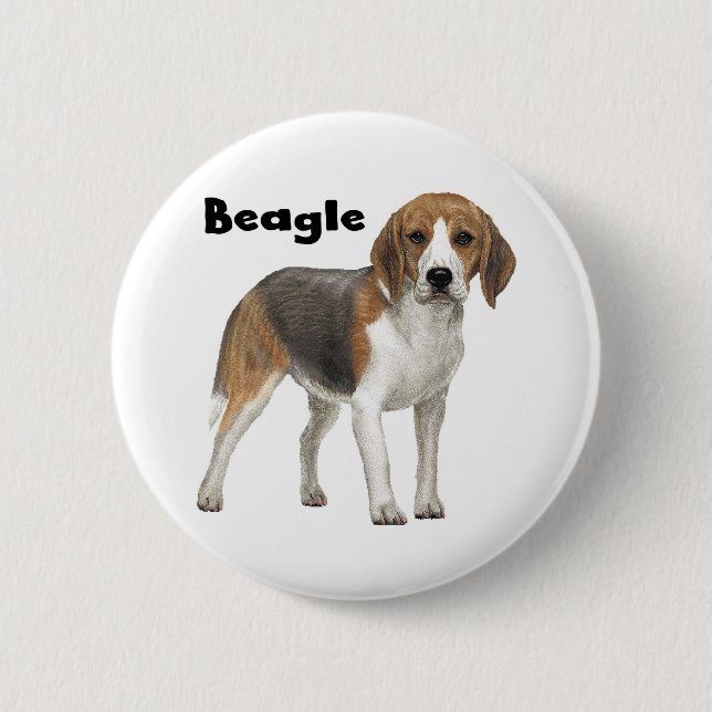 Badge Rond 5 Cm Beagle (Devant)