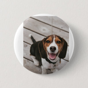 Badge Rond 5 Cm Beagle_puppy assis
