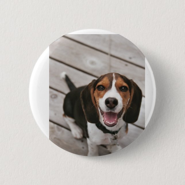 Badge Rond 5 Cm Beagle_puppy assis (Devant)