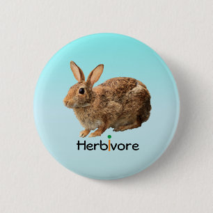Badge Rond 5 Cm Beau bleu herbivore sauvage de lapin