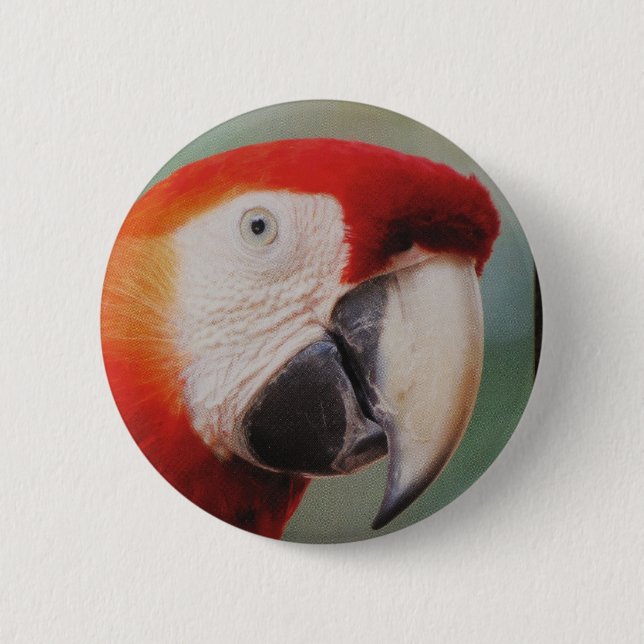 Badge Rond 5 Cm Beau bouton de perroquet (Devant)