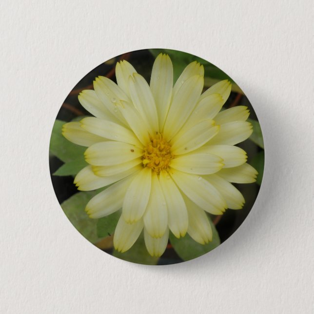 Badge Rond 5 Cm Beau Bouton Marigold Jaune (Devant)