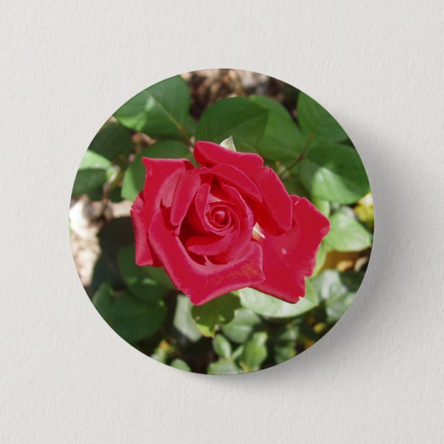 Badge Rond 5 Cm Beau Bouton Rose Rouge (Devant)