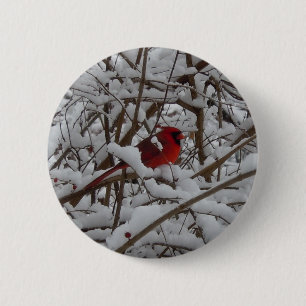 Badge Rond 5 Cm Beau Cardinal Rouge dans Bouton d'arbre rempli de