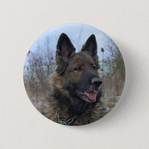 Badge Rond 5 Cm beau chiot berger allemand noir et feu