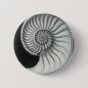 Badge Rond 5 Cm Beau dessin au crayon d'ammonite d'Amaltheus
