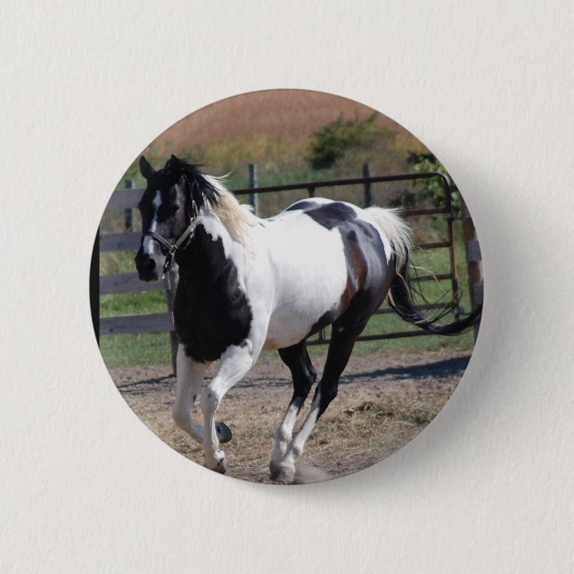 Badge Rond 5 Cm Beau Paint Pinto Horse (Devant)