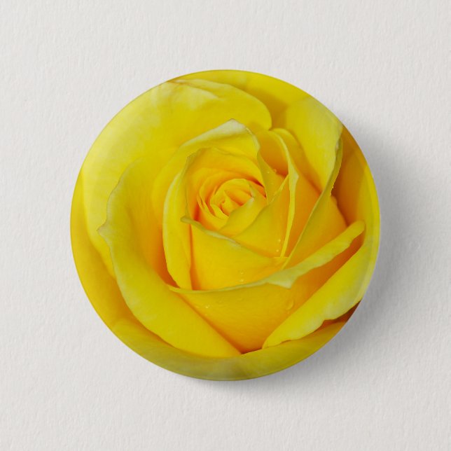 Badge Rond 5 Cm Beau pétales de rose jaune (Devant)