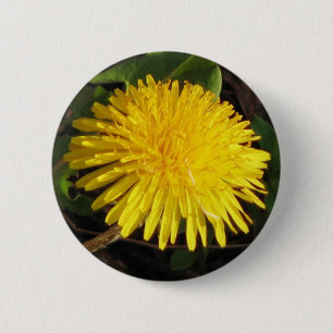 Badge Rond 5 Cm Beau pissenlit