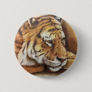 Badge Rond 5 Cm Beau tigre de Bengale, croquis de main
