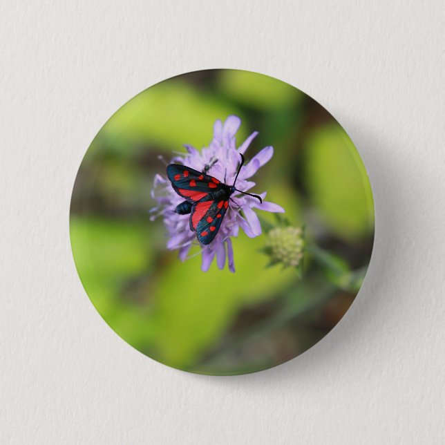 Badge Rond 5 Cm Beautiful moth (Devant)
