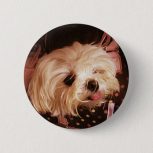 Badge Rond 5 Cm Bébé dans un sac Chiot maltais