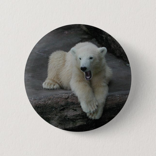 Badge Rond 5 Cm Bébé d'ours polaire (Devant)