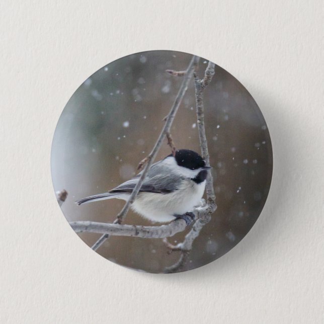 Badge Rond 5 Cm Bécasseau noir - Songbird (Devant)
