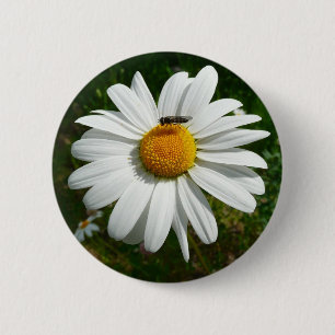 Badge Rond 5 Cm Bee on Daisy Alaskan Summer Nature