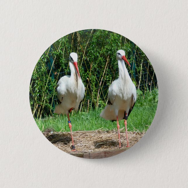 Badge Rond 5 Cm Belle cigogne (Devant)