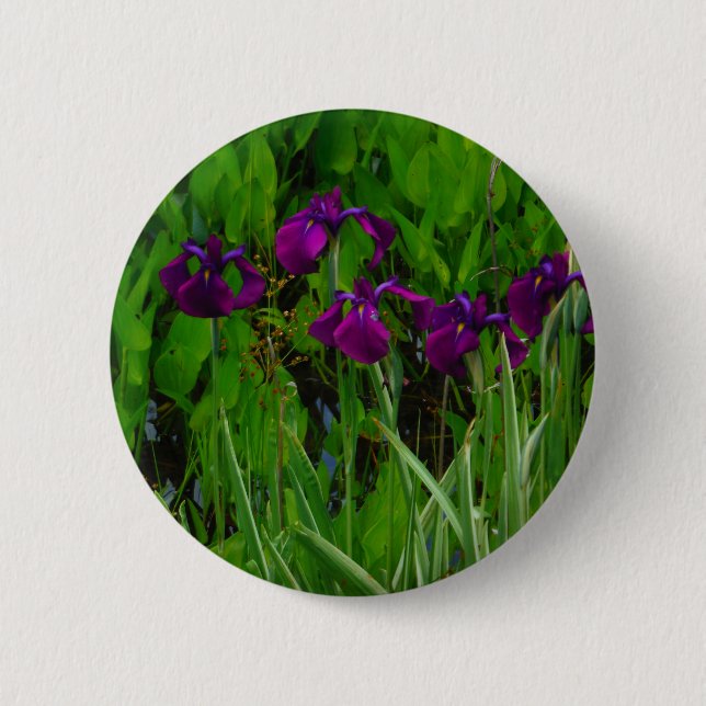 Badge Rond 5 Cm Belle Iris Violet (Devant)