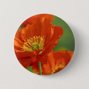Badge Rond 5 Cm Belle Pavot Rouge