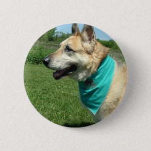 Badge Rond 5 Cm Berger allemand