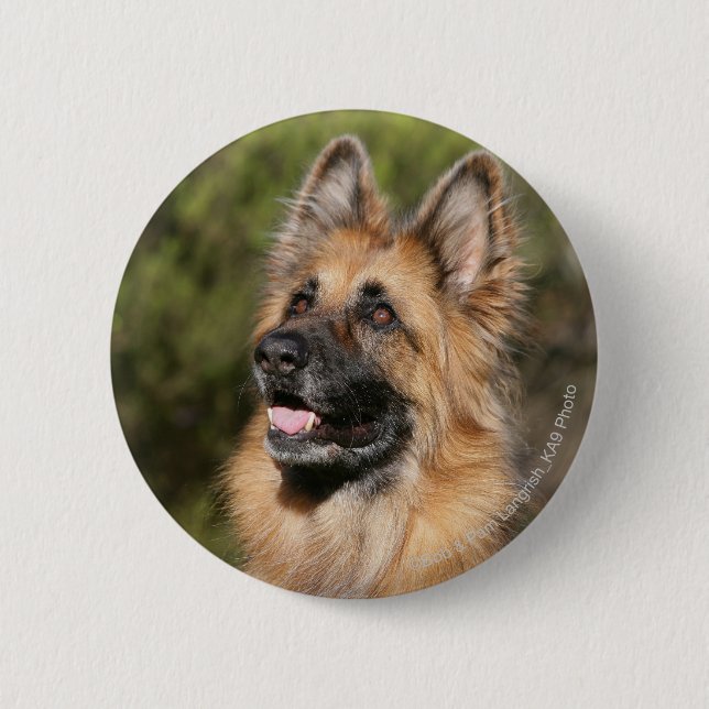 Badge Rond 5 Cm Berger allemand aux cheveux longs 1 (Devant)