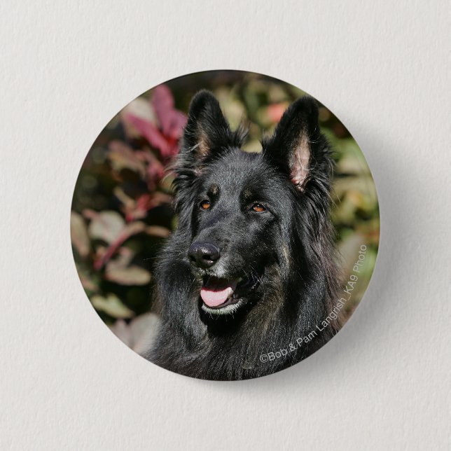 Badge Rond 5 Cm Berger allemand aux cheveux longs noir (Devant)
