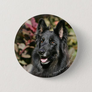 Badge Rond 5 Cm Berger allemand aux cheveux longs noir
