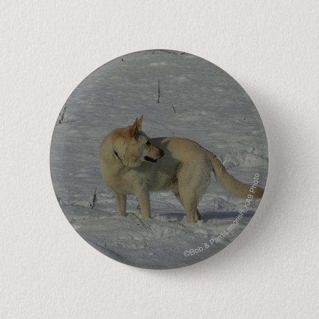 Badge Rond 5 Cm Berger allemand blanc dans la neige (Devant)