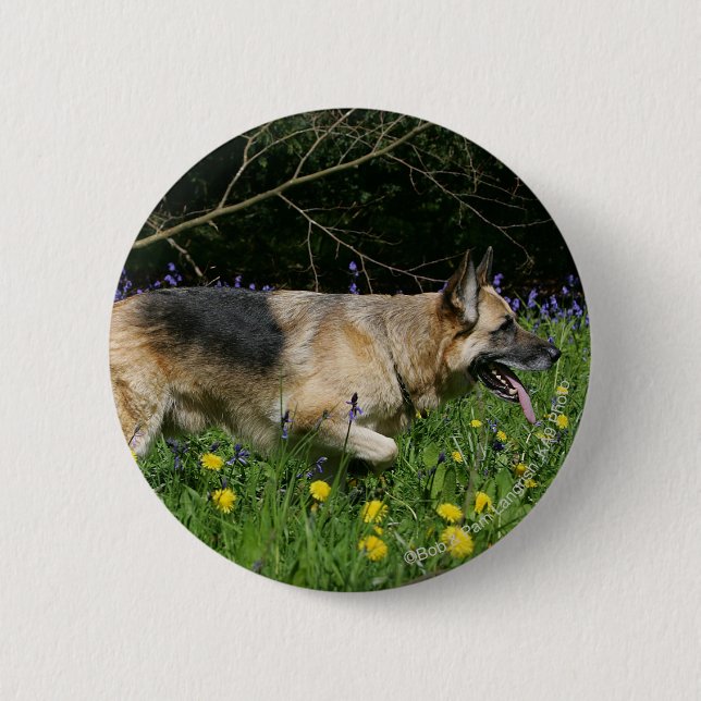 Badge Rond 5 Cm Berger allemand en fleurs jaunes (Devant)