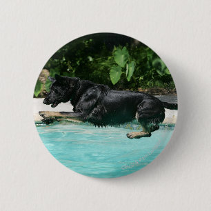 Badge Rond 5 Cm Berger allemand sautant dans l'eau