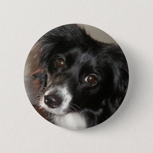 Badge Rond 5 Cm Berger australien (Devant)