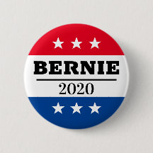 BERNIE 2020 : Le jeu des élections
