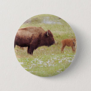 Badge Rond 5 Cm Bison et veau à Yellowstone