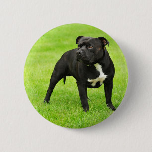Badge Rond 5 Cm Black Amstaff