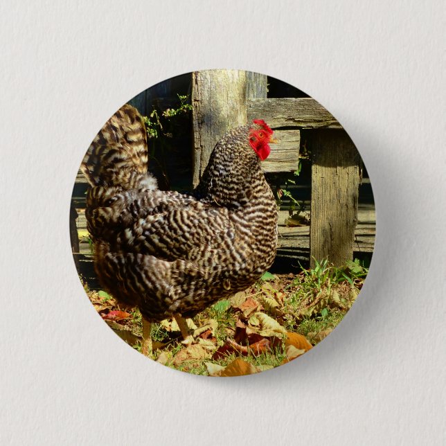 Badge Rond 5 Cm Black and white chicken (Devant)