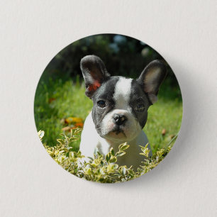 Badge Rond 5 Cm Black and White French Bull Dog Puppy
