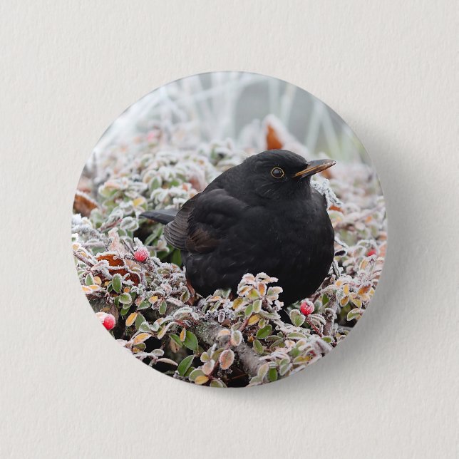 Badge Rond 5 Cm Blackbird d'hiver (Devant)