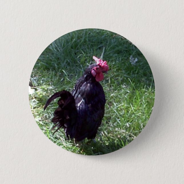 Badge Rond 5 Cm Blackbird le coq noir (Devant)