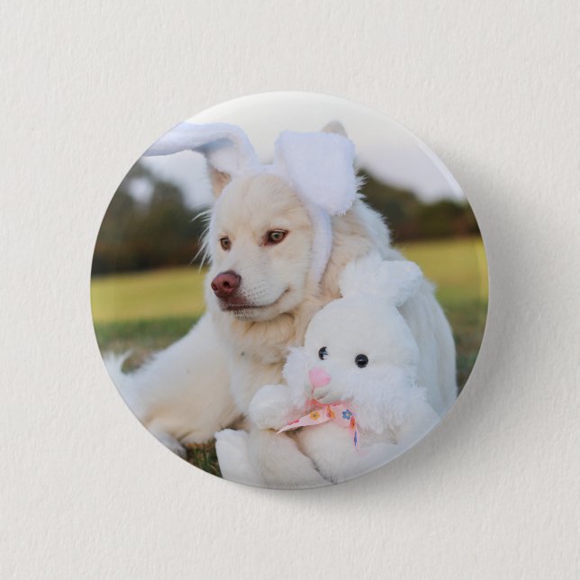 Badge Rond 5 Cm Blanc Lapphund Finlandais Puppy Cute (Devant)